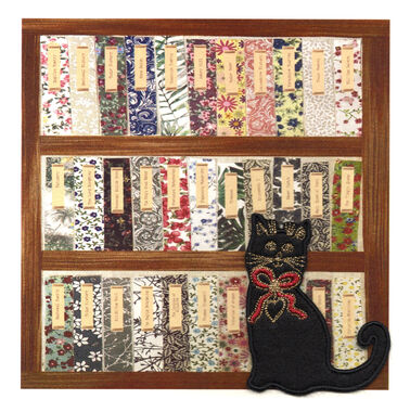 Photography of Black Cat with Bookcase